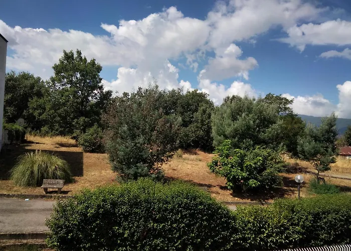 Alojamento de Acomodação e Pequeno-almoço Mimose 3*